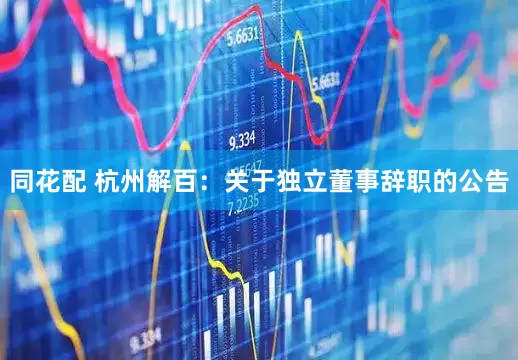 同花配 杭州解百：关于独立董事辞职的公告