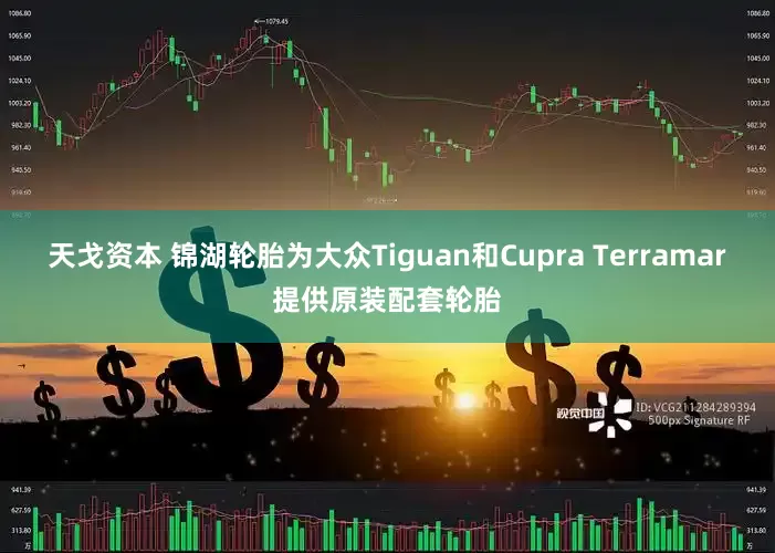 天戈资本 锦湖轮胎为大众Tiguan和Cupra Terramar提供原装配套轮胎