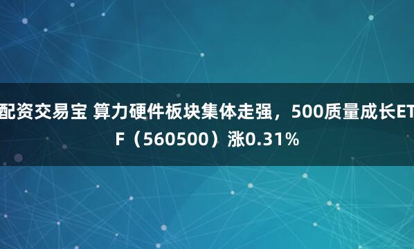 配资交易宝 算力硬件板块集体走强，500质量成长ETF（560500）涨0.31%