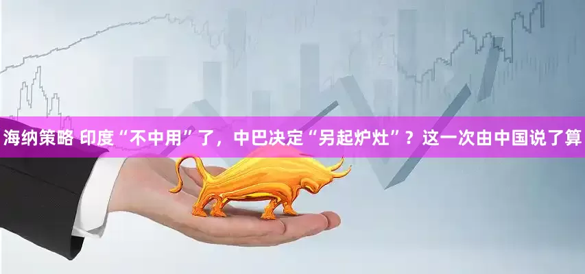 海纳策略 印度“不中用”了，中巴决定“另起炉灶”？这一次由中国说了算