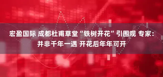 宏盈国际 成都杜甫草堂“铁树开花”引围观 专家：并非千年一遇 开花后年年可开