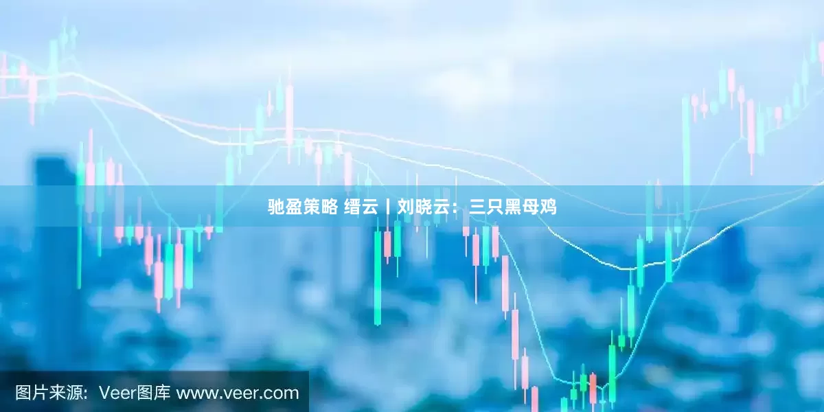 驰盈策略 缙云丨刘晓云：三只黑母鸡