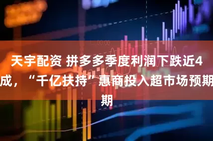 天宇配资 拼多多季度利润下跌近4成，“千亿扶持”惠商投入超市场预期
