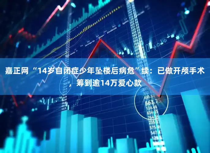 嘉正网 “14岁自闭症少年坠楼后病危”续：已做开颅手术，筹到逾14万爱心款