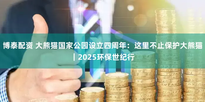 博泰配资 大熊猫国家公园设立四周年：这里不止保护大熊猫｜2025环保世纪行