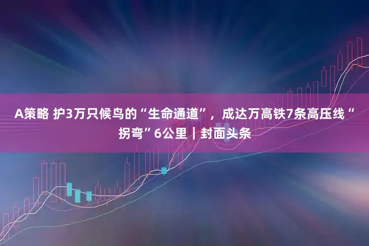 A策略 护3万只候鸟的“生命通道”，成达万高铁7条高压线“拐弯”6公里｜封面头条