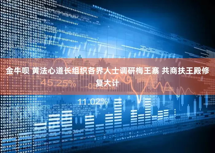 金牛呗 黄法心道长组织各界人士调研梅王寨 共商扶王殿修复大计