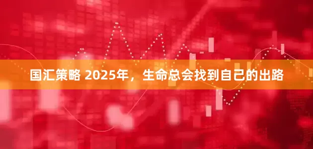 国汇策略 2025年，生命总会找到自己的出路