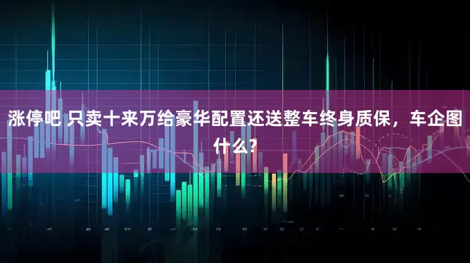 涨停吧 只卖十来万给豪华配置还送整车终身质保，车企图什么?