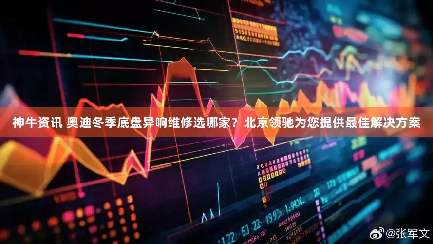 神牛资讯 奥迪冬季底盘异响维修选哪家？北京领驰为您提供最佳解决方案