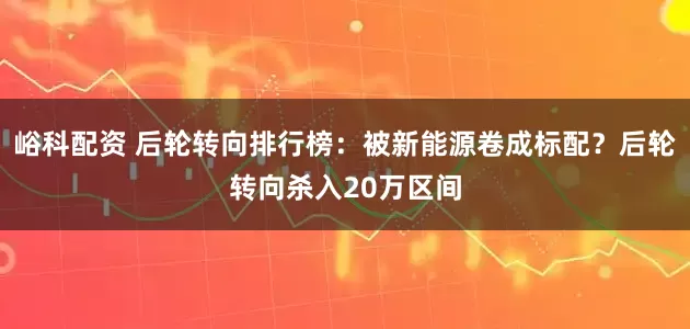 峪科配资 后轮转向排行榜：被新能源卷成标配？后轮转向杀入20万区间