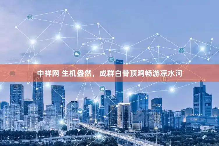 中祥网 生机盎然，成群白骨顶鸡畅游凉水河