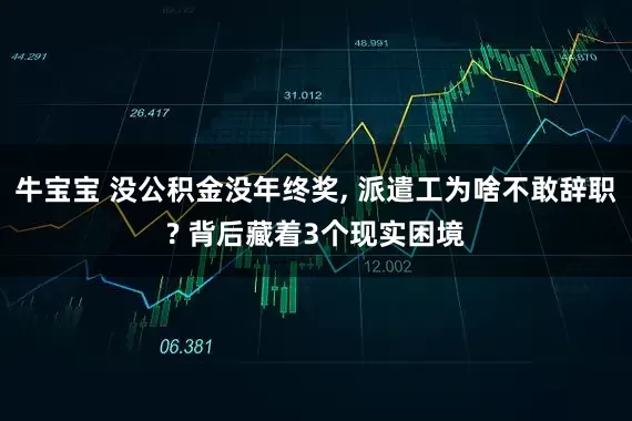 牛宝宝 没公积金没年终奖, 派遣工为啥不敢辞职? 背后藏着3个现实困境
